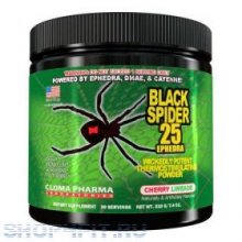 Black Spider Powder (210гр)