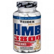 &quot;WD&quot; HMB 3800 (120cap)